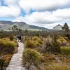 Tasmania Waterfalls